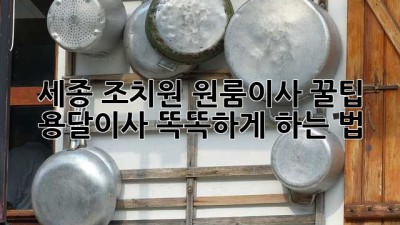 세종 조치원 원룸이사 꿀팁🍯 용달이사 똑똑하게 하는 법